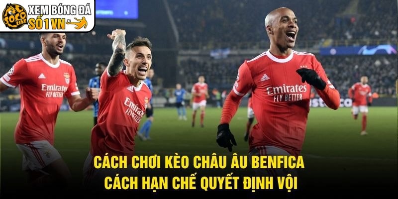 Cách Chơi Kèo Châu Âu Benfica – Cách Hạn Chế Quyết Định Vội