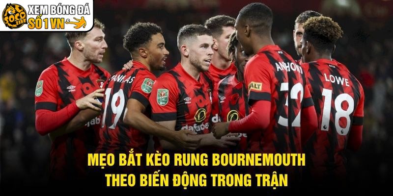Mẹo Bắt Kèo Rung Bournemouth – Theo Biến Động Trong Trận