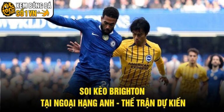Soi Kèo Brighton Tại Ngoại Hạng Anh - Thế Trận Dự Kiến